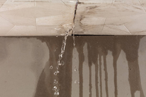 Professional Structural Drying technician working in Lithopolis, OH